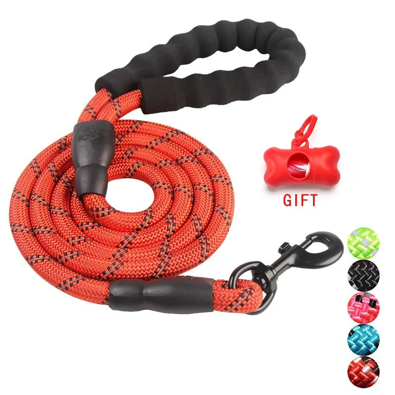 SmartPaws Leash