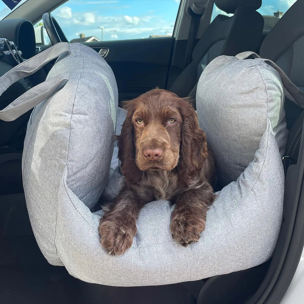 Pet Beds