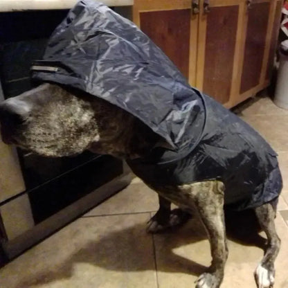 Dog Raincoat