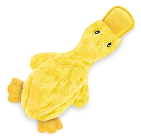 Duck Toy