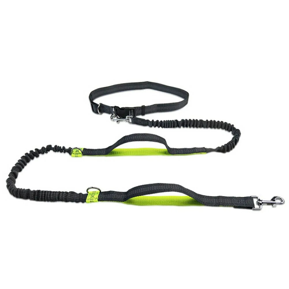 ShineLine Leash
