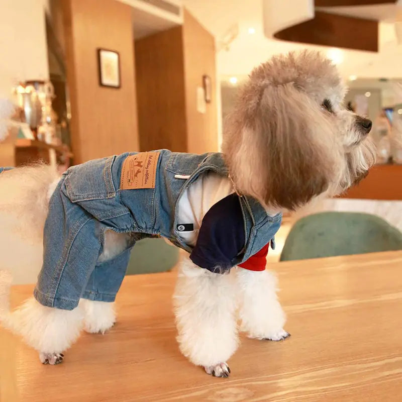 PawLuxe Denim