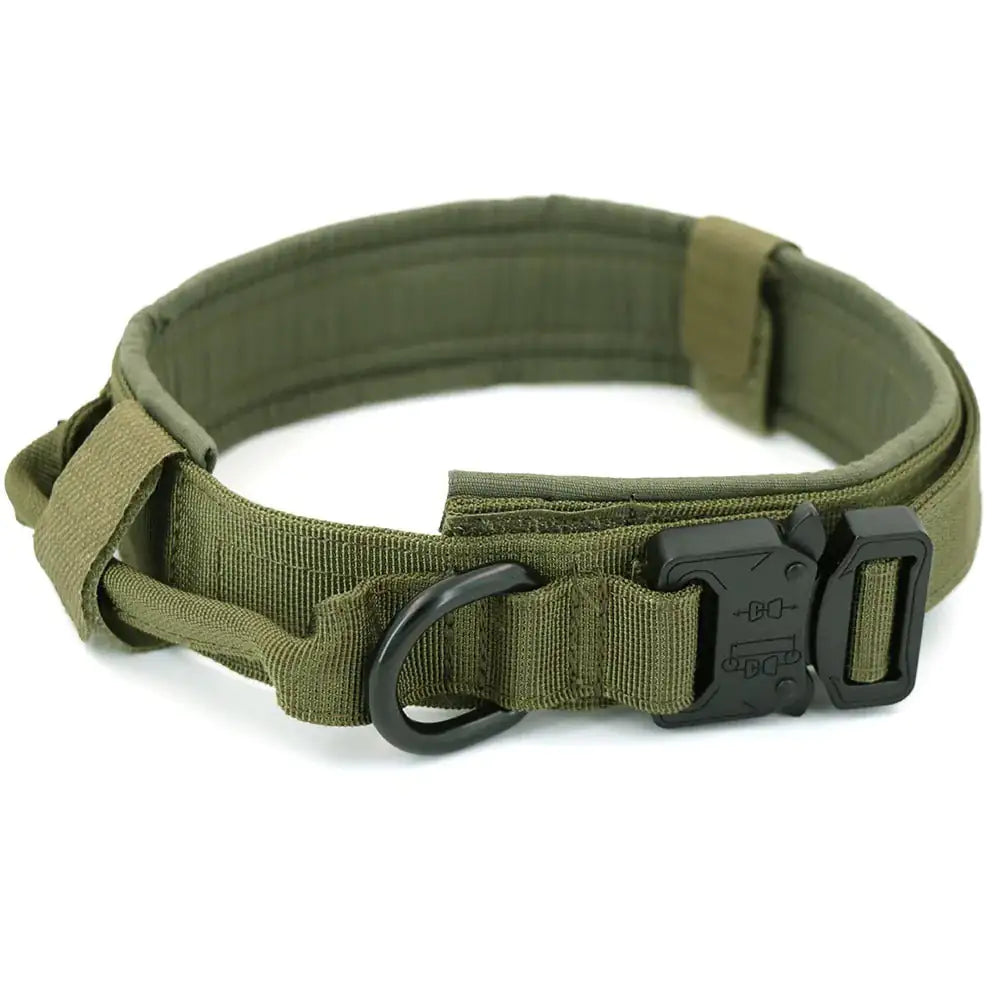 Tactal Collar