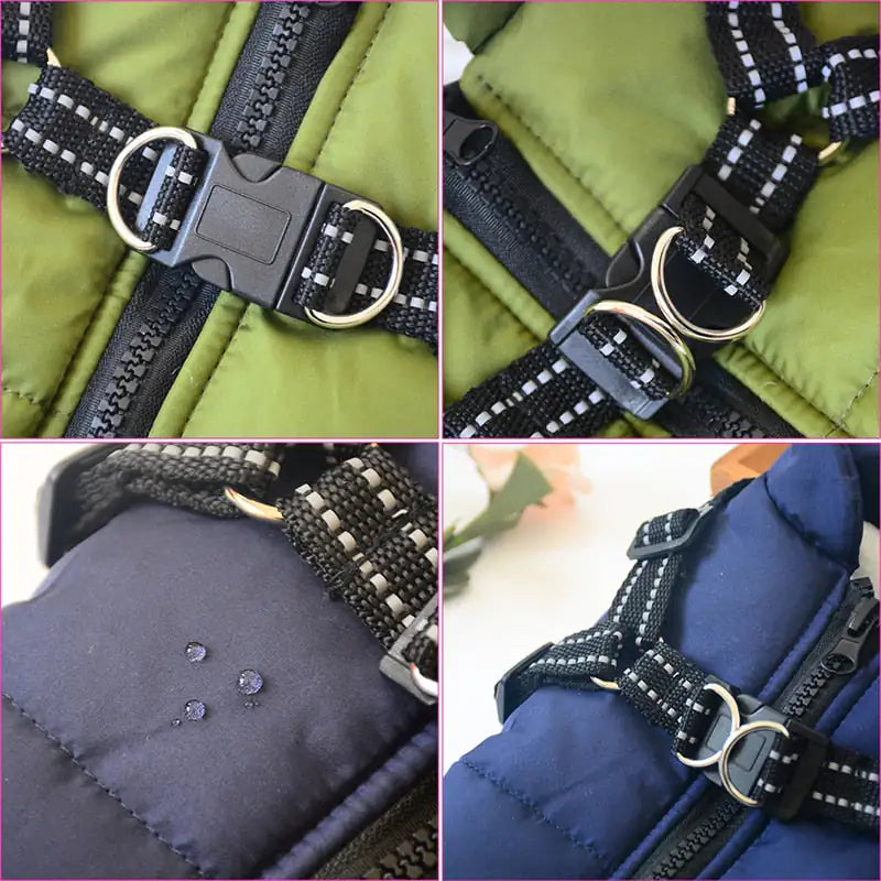 SnowPaw Explorer Jacket