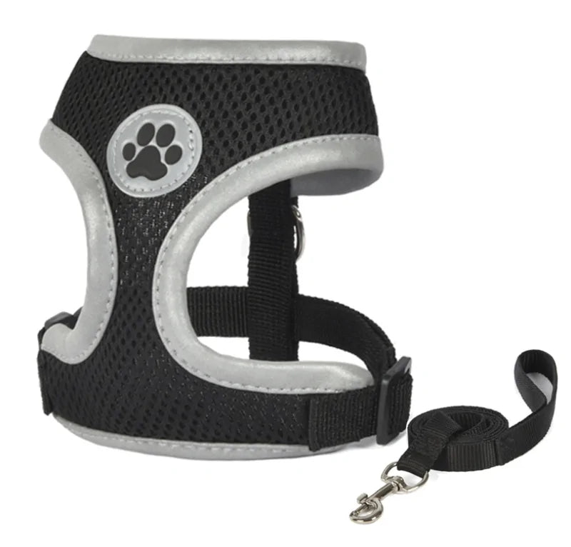 FlexiPaw Harness