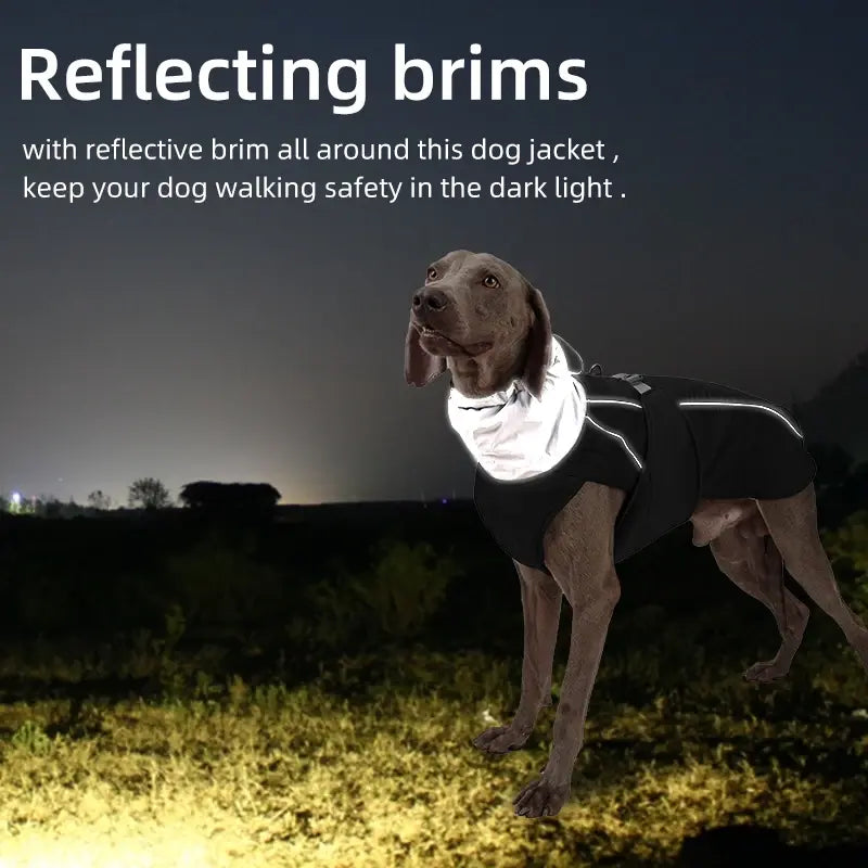 BrrrBark Jacket