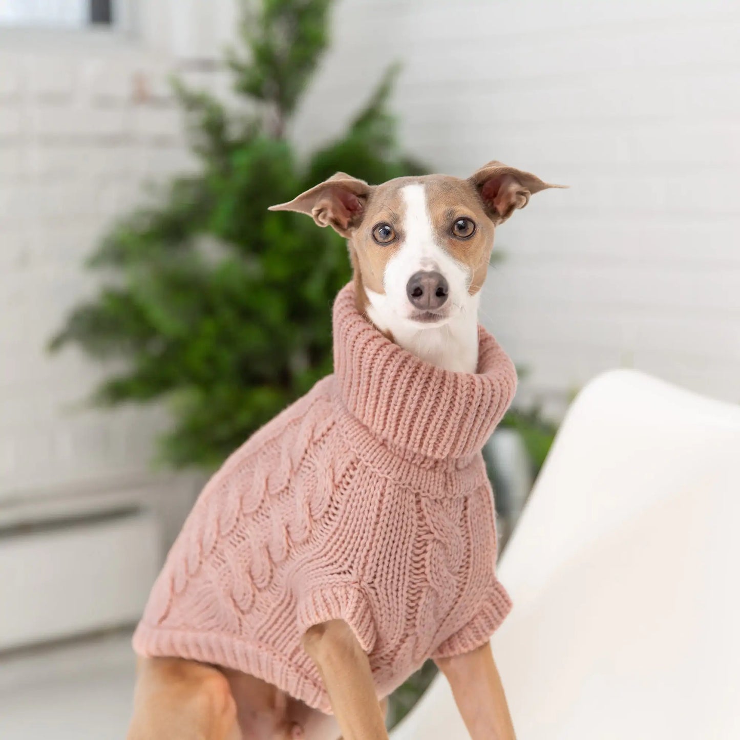 Snuggly Chalet Sweater