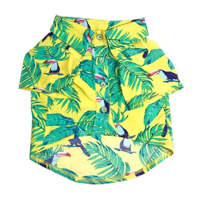 Summer Printed Clothes