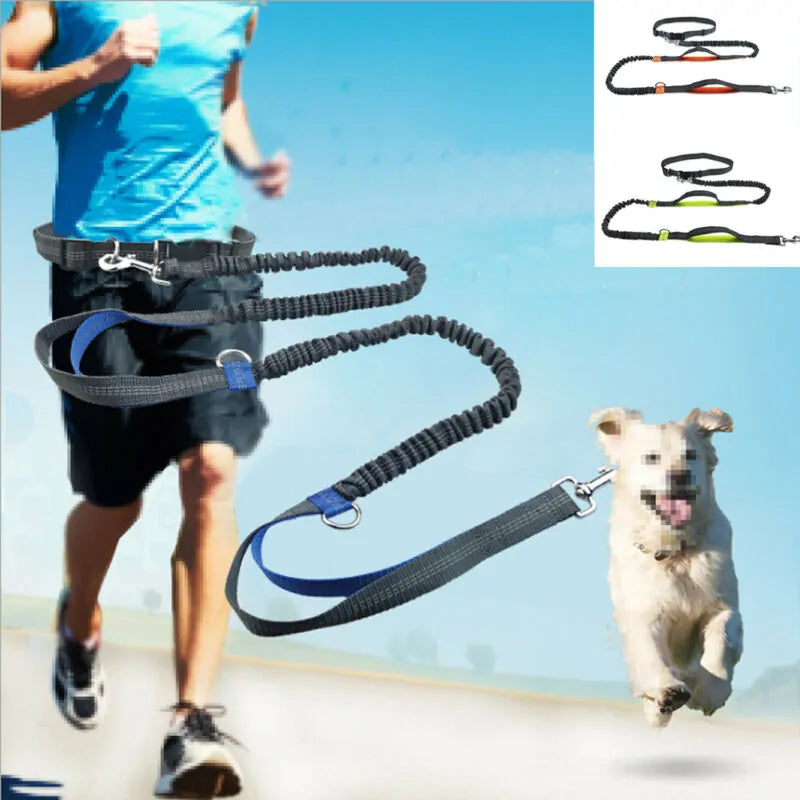 ShineLine Leash