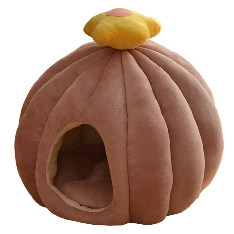 CozyCactus