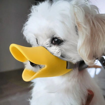 Muzzle Duck Beak