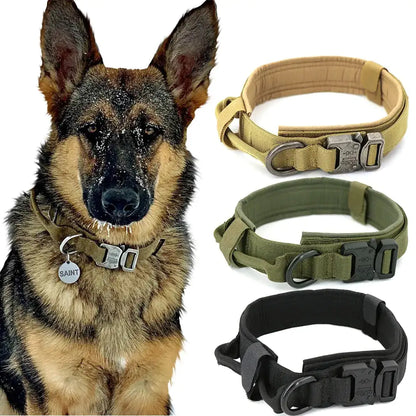 Tactal Collar