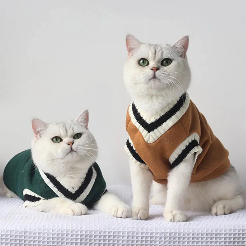 Cozy Paws Pullover