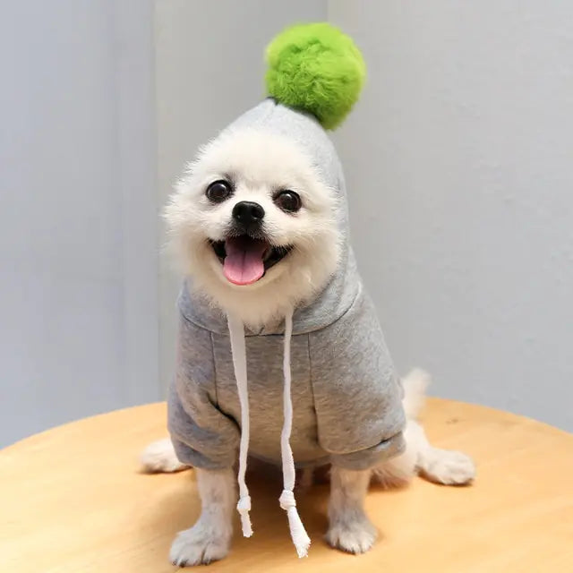 The Cozy Crop Hoodie
