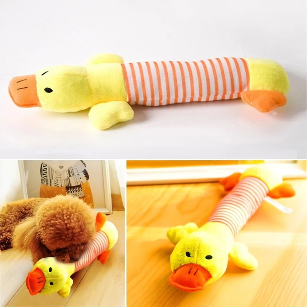 Cute Squeaker Animals