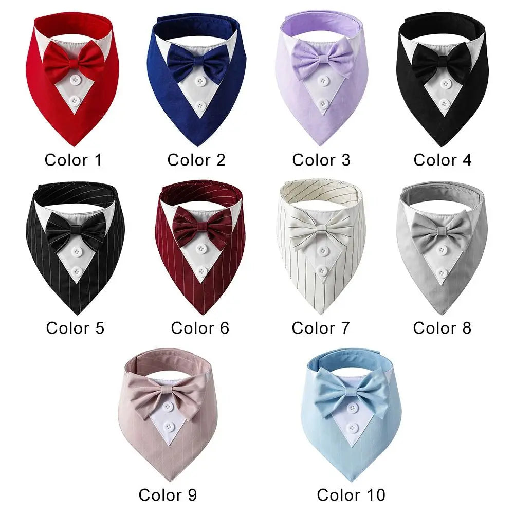 The Gentleman Pup Tie