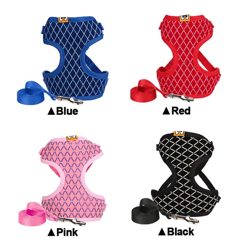 CrystalPup Leash Set