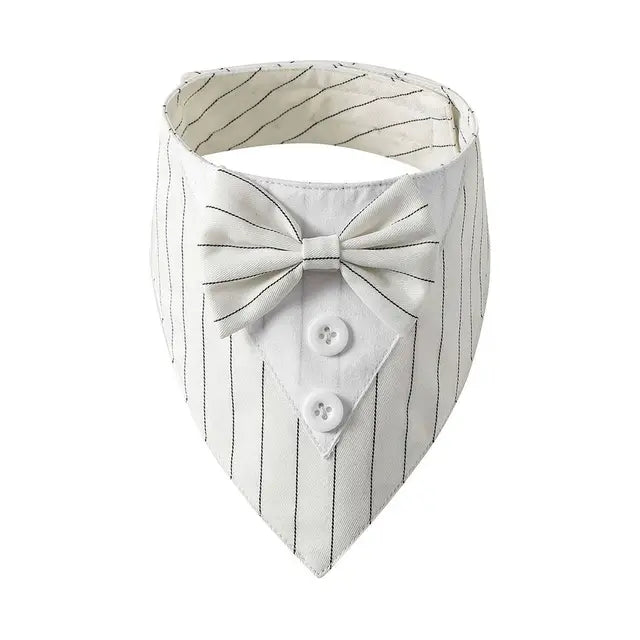 The Gentleman Pup Tie