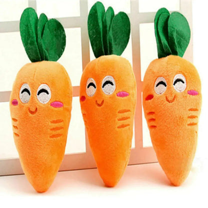 Carrot Chew Toy