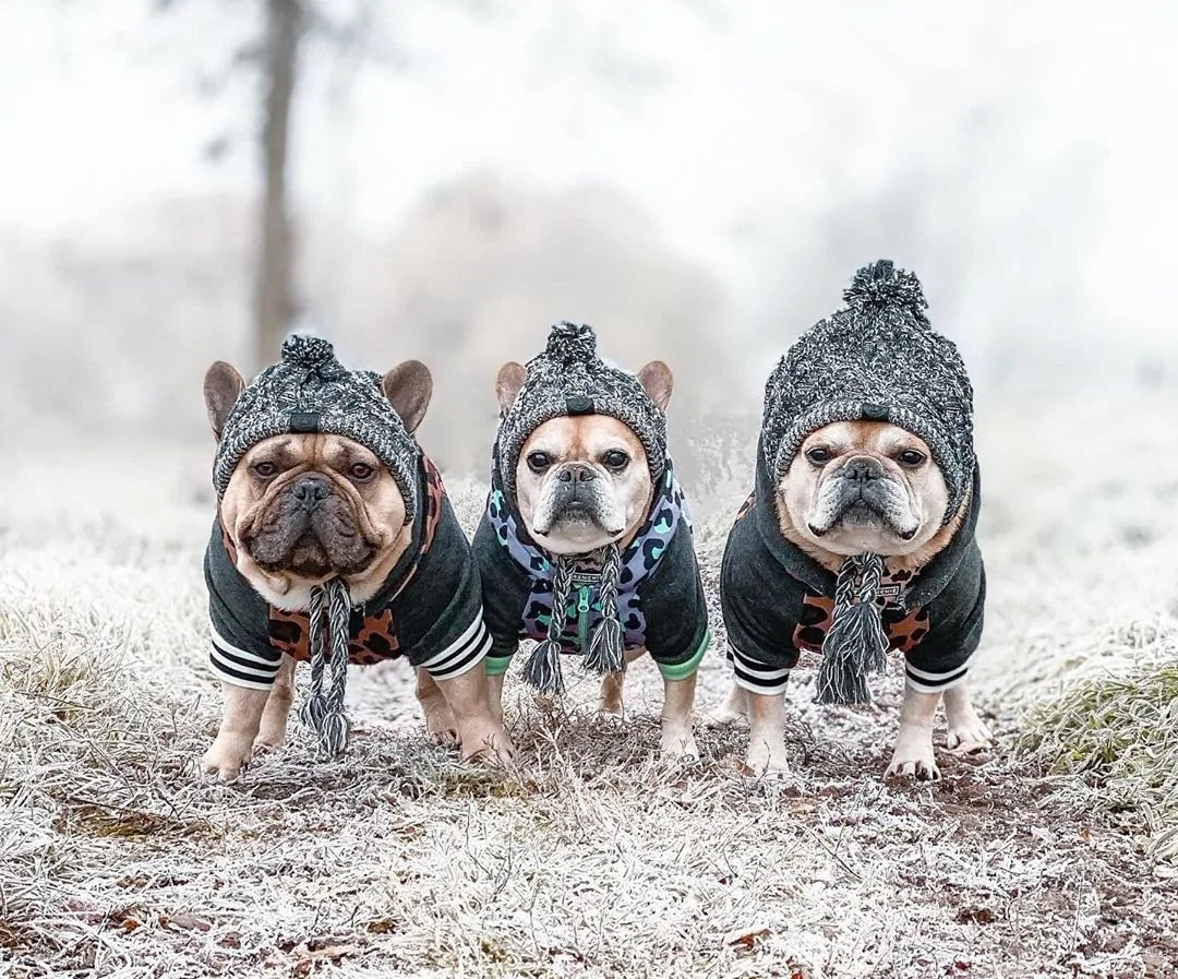 Winter beanie hat