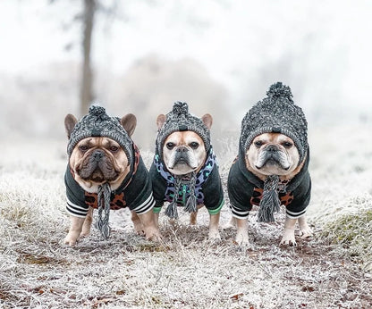 Winter beanie hat