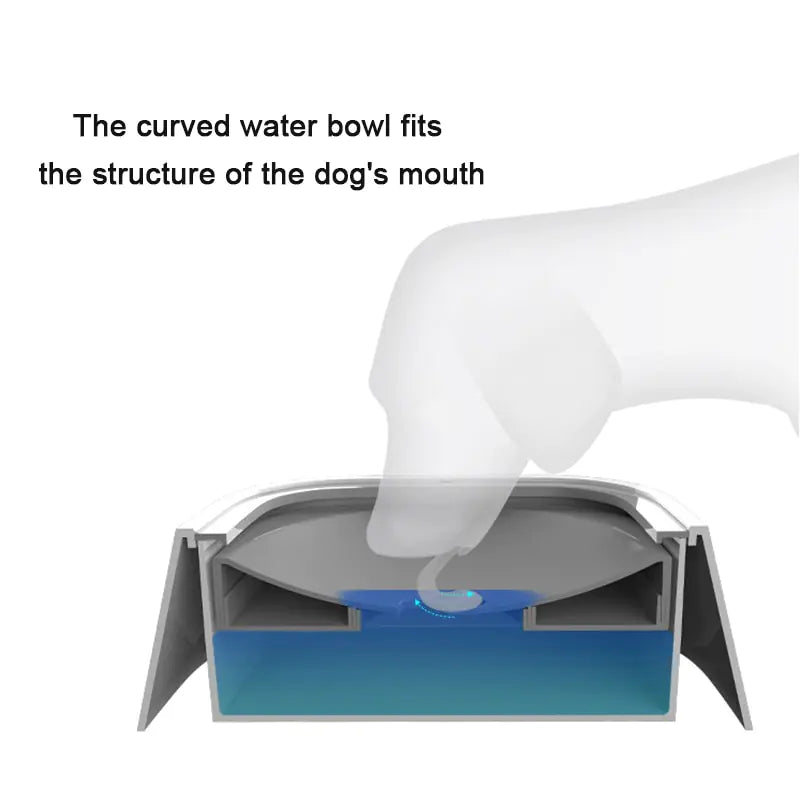 AquaPaws Bowl