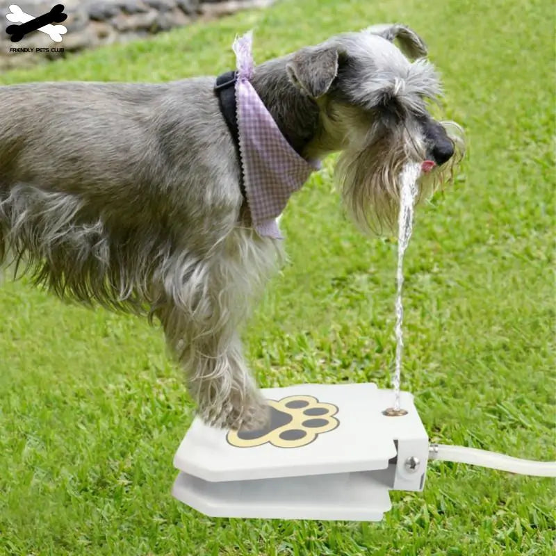 Drinking Fountain