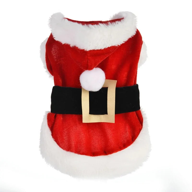 Santa Paws Suit