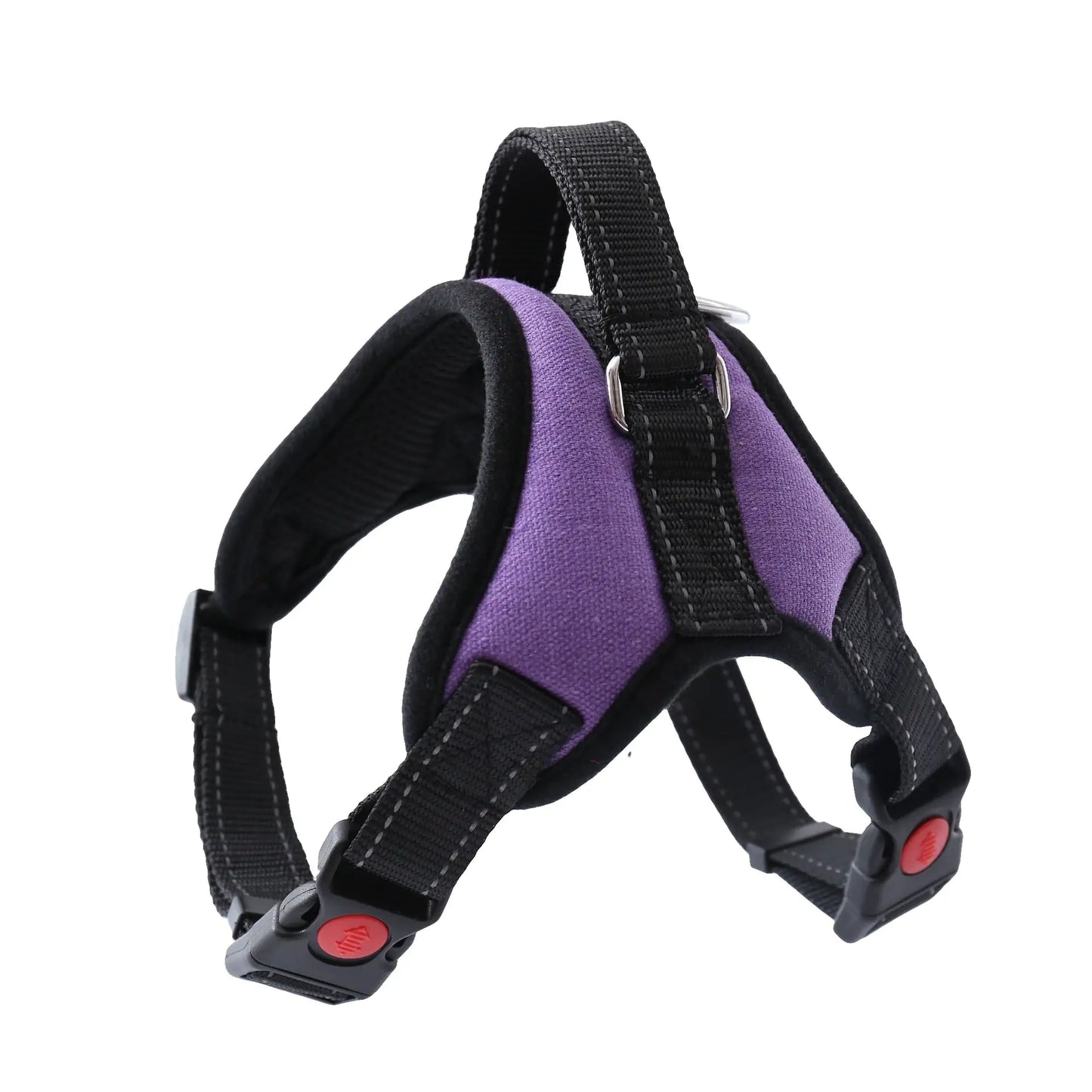 Walking Harness