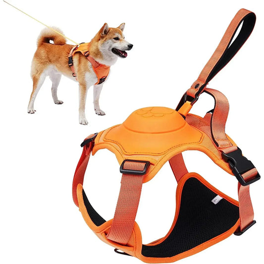 All-in-One Dog Harness Retractable Leash