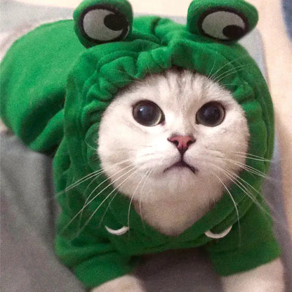 Vegetable and Frog Costume