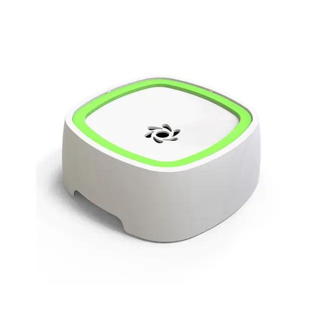 AquaPaws Bowl