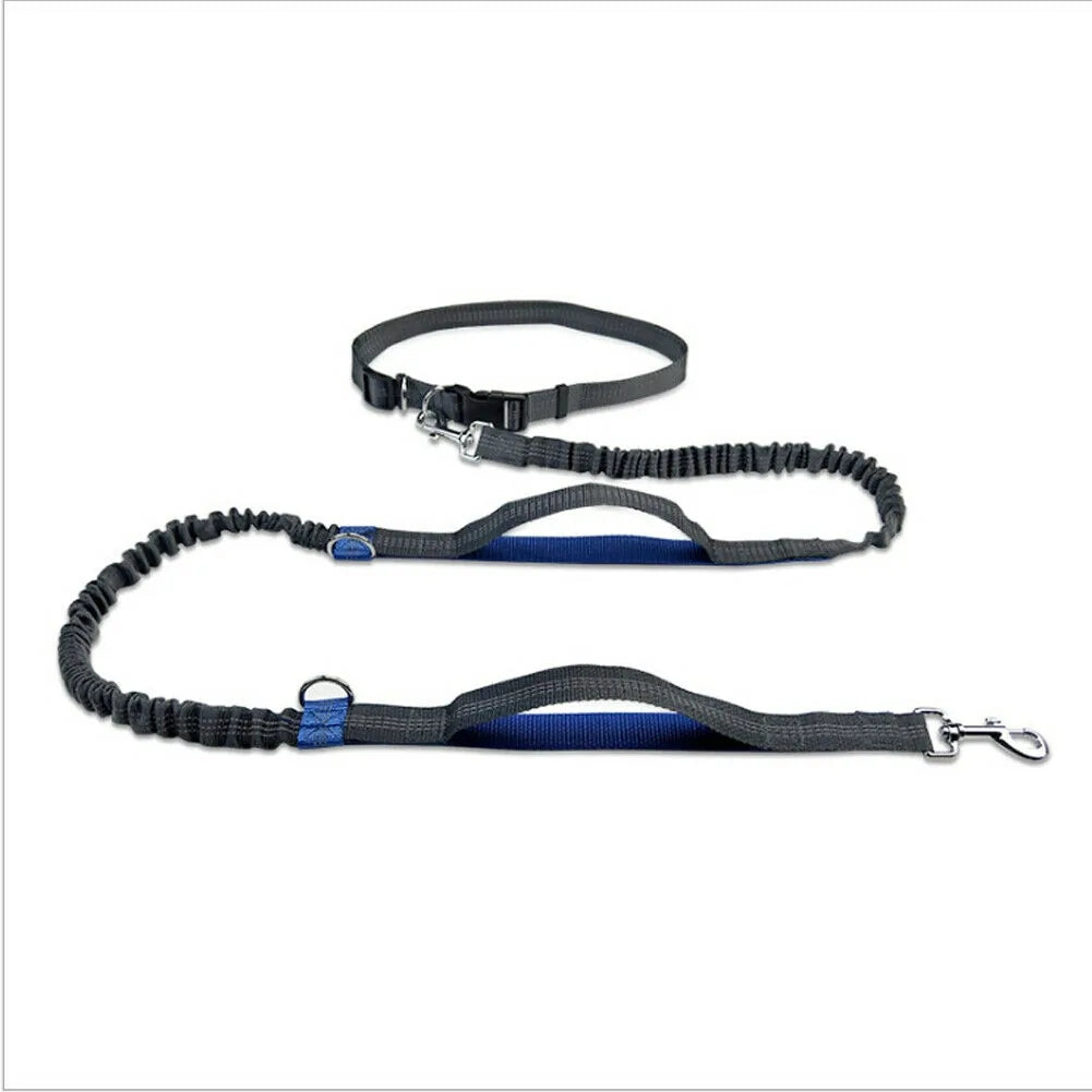 ShineLine Leash