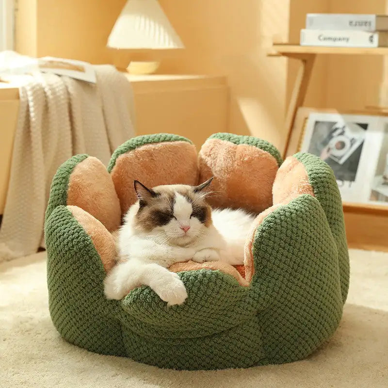 Pawtus Nest