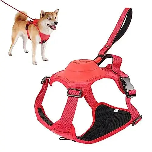 All-in-One Dog Harness Retractable Leash