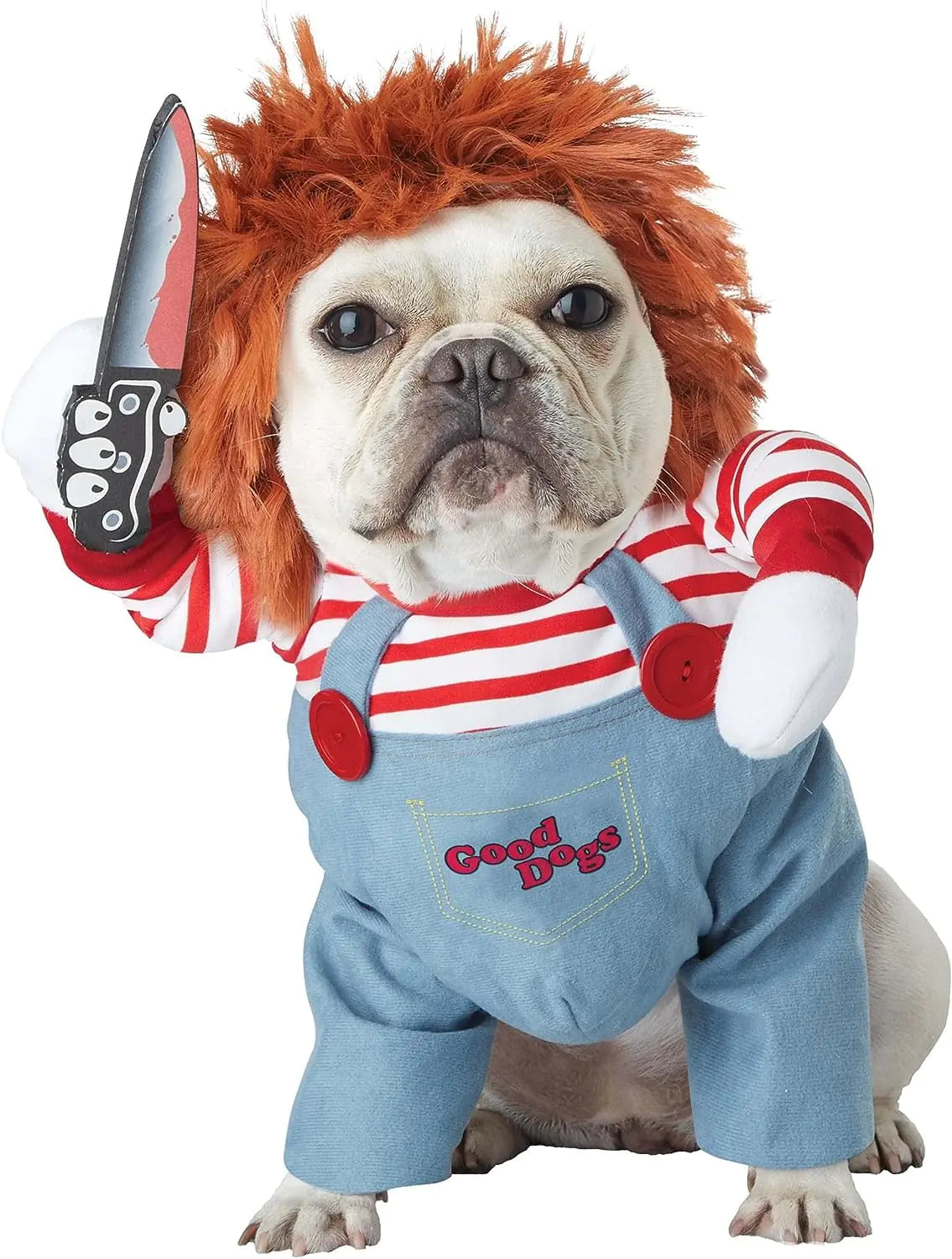 The Chucky Pup Scare