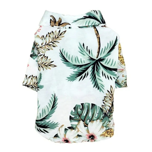 Summer Printed Clothes