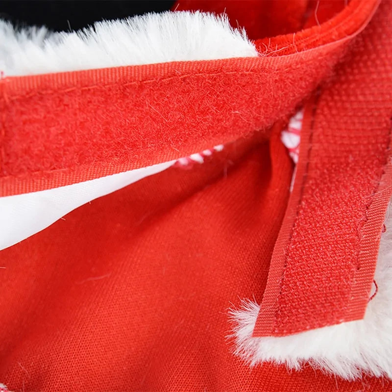 Santa Paws Suit