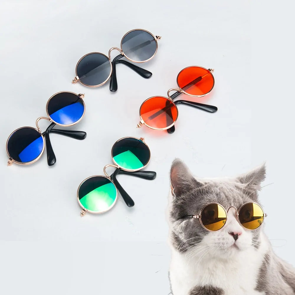 Cat Sunglasses