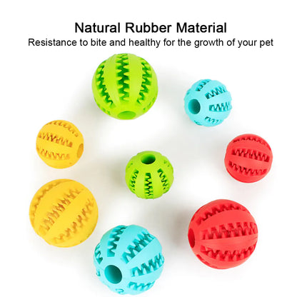 Rubber Ball Chew Toy