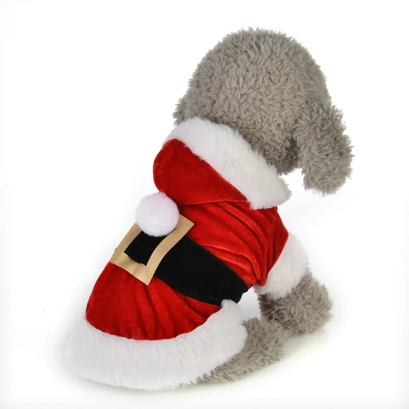 Santa Paws Suit