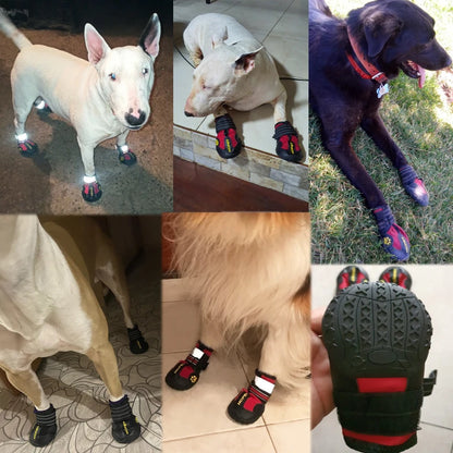 Active Pet Shoes