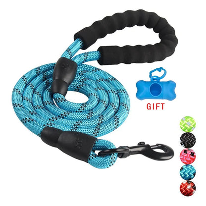 Pet Dog Leash Walking Training Leash