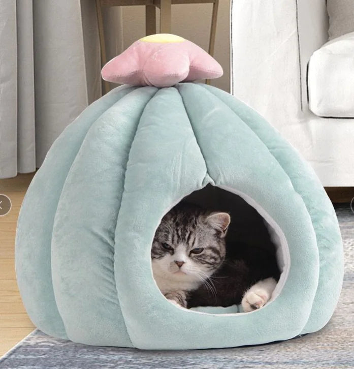 CozyCactus