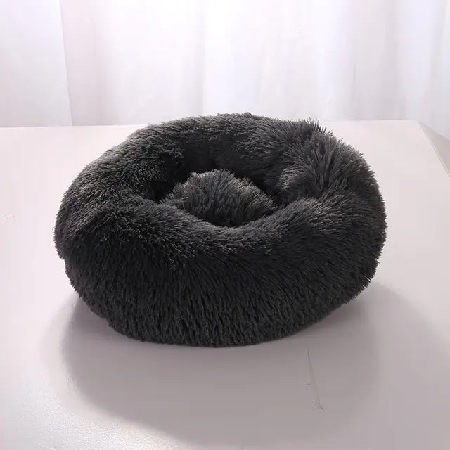 CuddleCloud