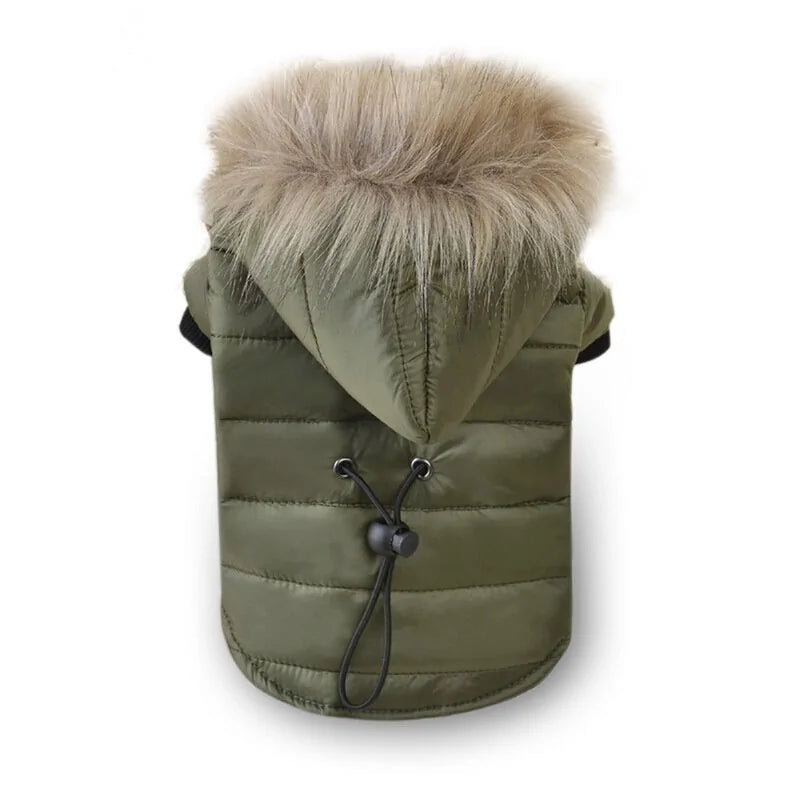 Fetch & Fleece