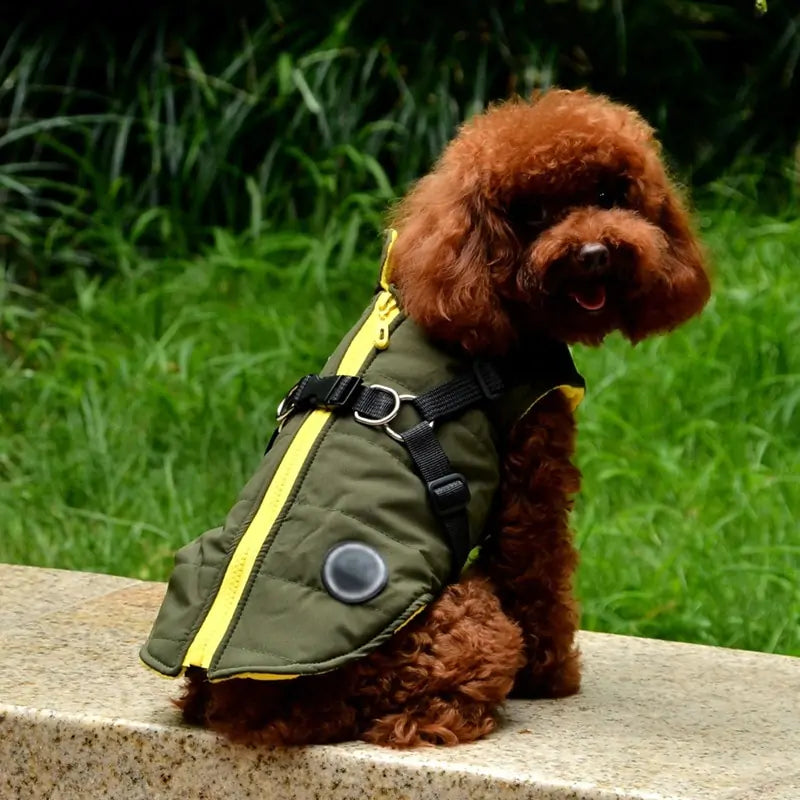 PuddlePup Jacket