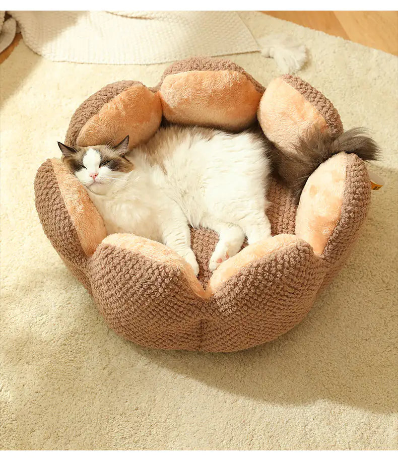 Pawtus Nest