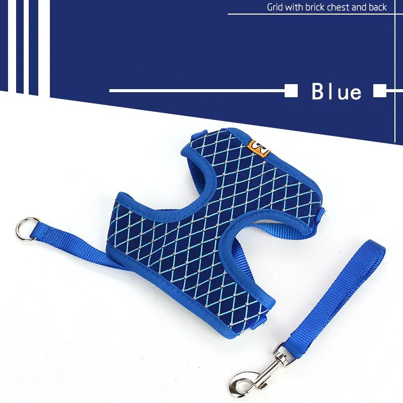 CrystalPup Leash Set