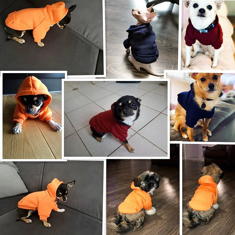 SnugglePup Hoodie